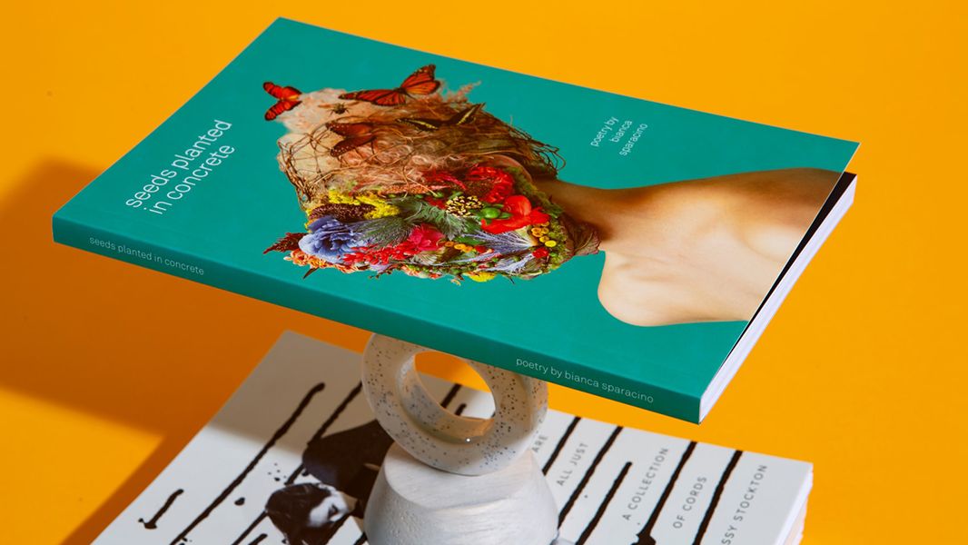 Corsi Brevi Indesign Header